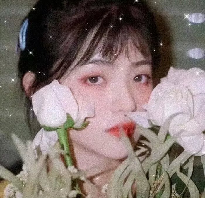 在无爱之森呐喊